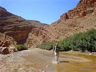 Les Gorges d'Alemdoun